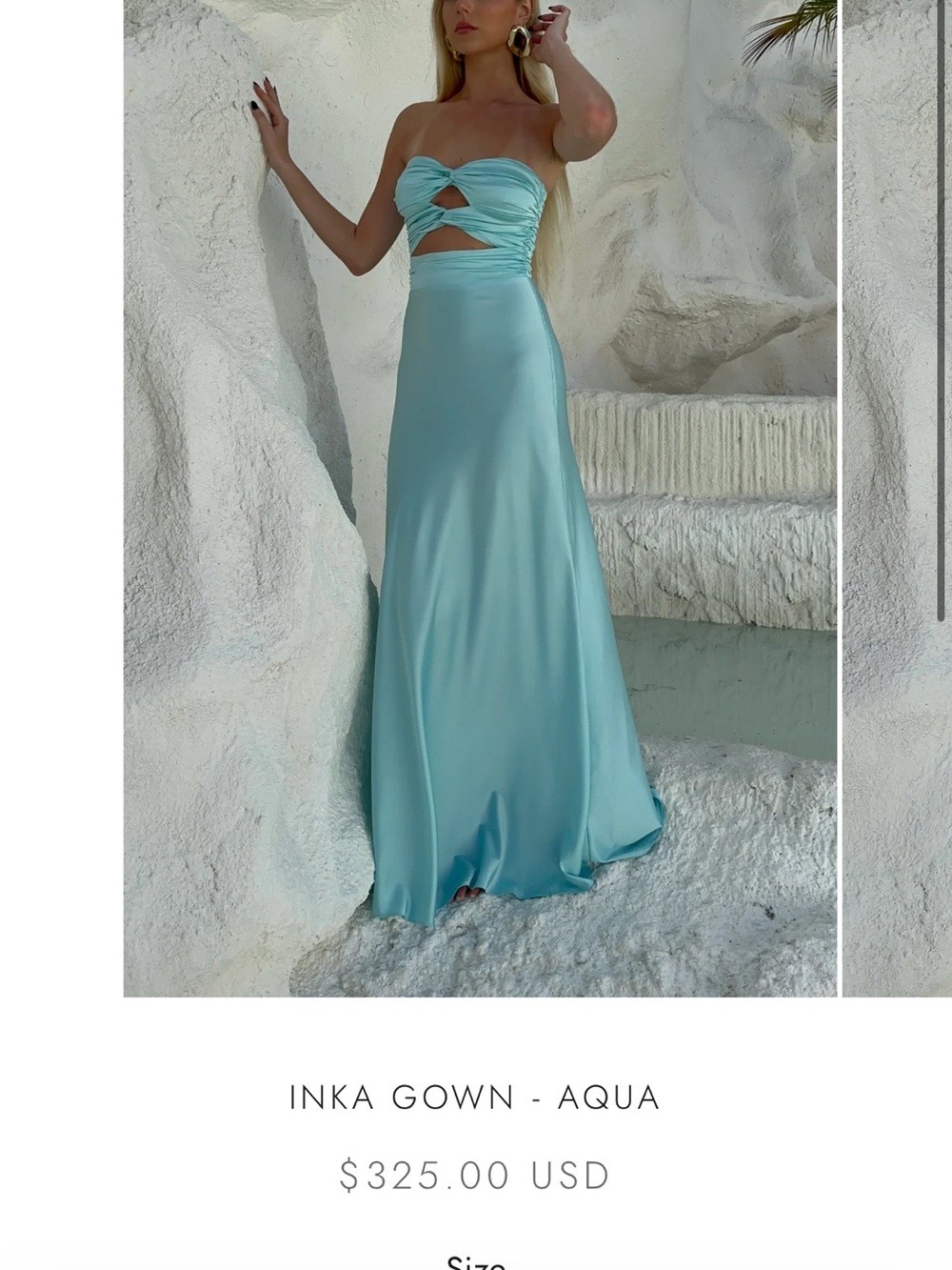 HNTR The Label Aqua Strapless Gown